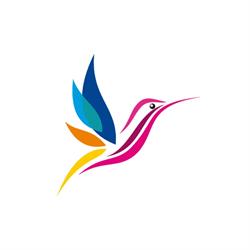 FlyPrint & Design, Rădăuţi program de funcționare
