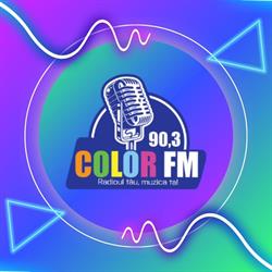 Radio Color 90,3 FM, Orăştie program de funcționare