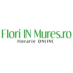 FloriINmures.ro, Târgu Mureş program de funcționare