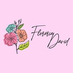 Floraria David, Târgovişte program de funcționare