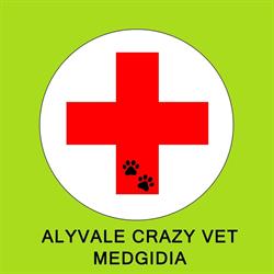 AlyVale CrazyVet, Medgidia program de funcționare