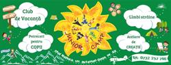 Junior Camp Cluj, program de funcționare