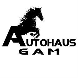 Autohaus Gam, Cluj-Napoca program de funcționare
