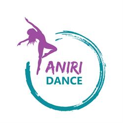 Dansul Mirilor - ANIRI Dance Bucuresti, program de funcționare