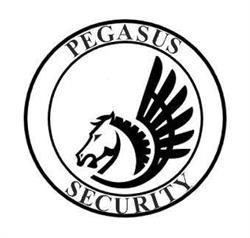 Pegasus Security, Buftea program de funcționare