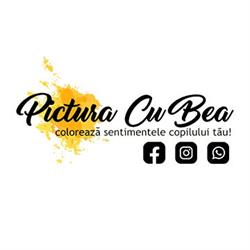 Picturacubea, Braşov program de funcționare