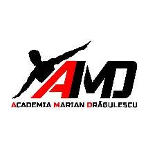 Academia Marian Dragulescu, Bucureşti program de funcționare