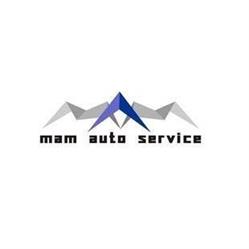 MAM Auto Service, Mogoşoaia program de funcționare
