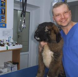 CABINET VETERINAR SI FARMACIE VETERINARA SUCEAVA PRO ANIMALS TINA MED, Suceava program de funcționare