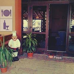 Alex Pub, Hârşova program de funcționare