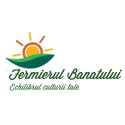 Fermierul Banatului, Moşniţa Nouă program de funcționare
