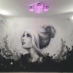 salon princess, Brăila program de funcționare