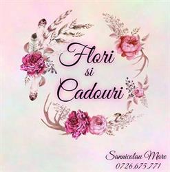 Floraria Flori si Cadouri ( Dancea I. Andreea I.I.), Sânnicolau Mare program de funcționare