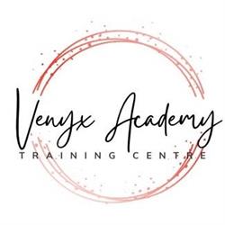 Venyx Academy, Arad program de funcționare