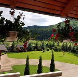 Putnisoara, Putna program de funcționare