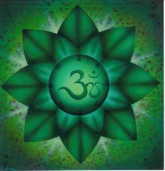 Asociaţia Practicienilor de Reiki şi Terapii Complementare Braşov, program de funcționare