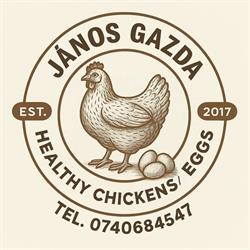 János Gazda, Mădăraş program de funcționare