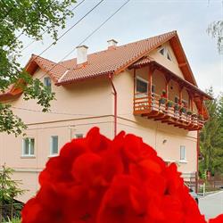 Balint, Sovata program de funcționare