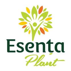 Esenţa, Curtea de Argeş program de funcționare