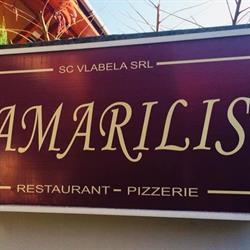 Amarilis, Lugoj program de funcționare
