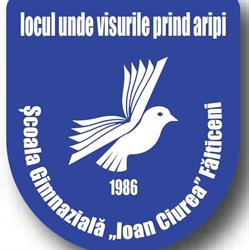 Şcoala Nr. 6 'Ioan Ciurea' Fălticeni, program de funcționare