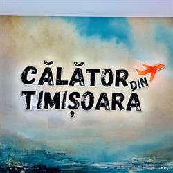 Agentia Calator din Timisoara By Familia Firica, program de funcționare