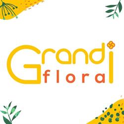 Grandiflora, Ploieşti program de funcționare