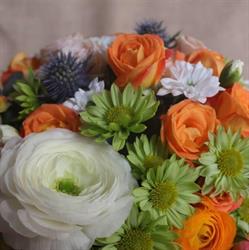 Amazing Flowers, Codlea program de funcționare