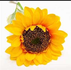Amaranth Dekoratiuni Florale, Livezeni program de funcționare