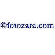 Ciprian Dumitru Fotozara, Focşani program de funcționare
