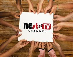 NEst-TV Channel, Şcheia program de funcționare