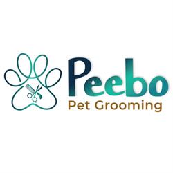 Peebo, Iaşi program de funcționare