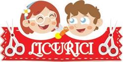 Frizeria Licurici, Braşov program de funcționare