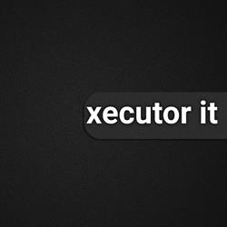 Executor IT, Bucureşti program de funcționare