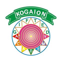 Kogaion Gifted Academy, Bucureşti program de funcționare