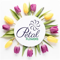 Petal Flowers, Ploieşti program de funcționare