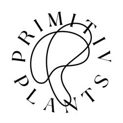 Primitiv Plants, Bucureşti program de funcționare