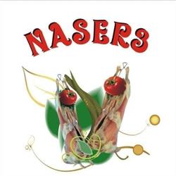 Naser, Bucureşti program de funcționare