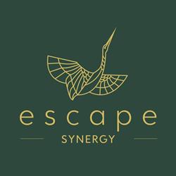 Escape Residence, Bucureşti program de funcționare