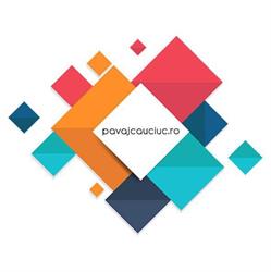 PAVIS, Caracal program de funcționare