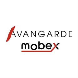 Mobila Avangarde, Timişoara program de funcționare