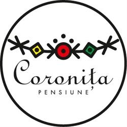 Pensiunea Coroniţa Vişeu de Sus, program de funcționare