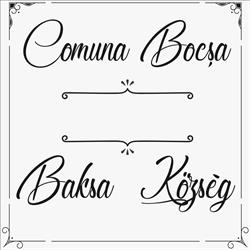 Primăria Bocşa Sălaj, program de funcționare
