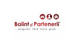 Balint si Partenerii, Roman program de funcționare