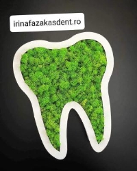 Cabinet Stomatologic IrinaFazakasDent Urgenţe Non-stop, Mediaş program de funcționare