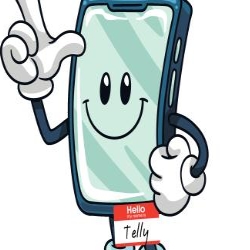 Telly GSM, Timişoara program de funcționare