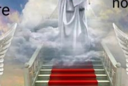 Servicii funerare Medias - La Udi, program de funcționare