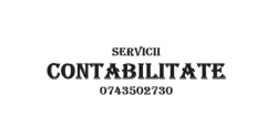 AN CONTA 41 SRL, Alba Iulia program de funcționare