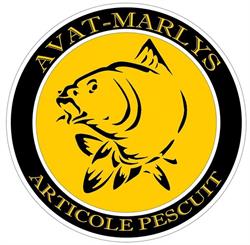 AVAT Marylys, Cluj-Napoca program de funcționare