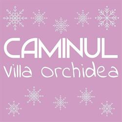 Caminul Villa Orchidea, Târgovişte program de funcționare
